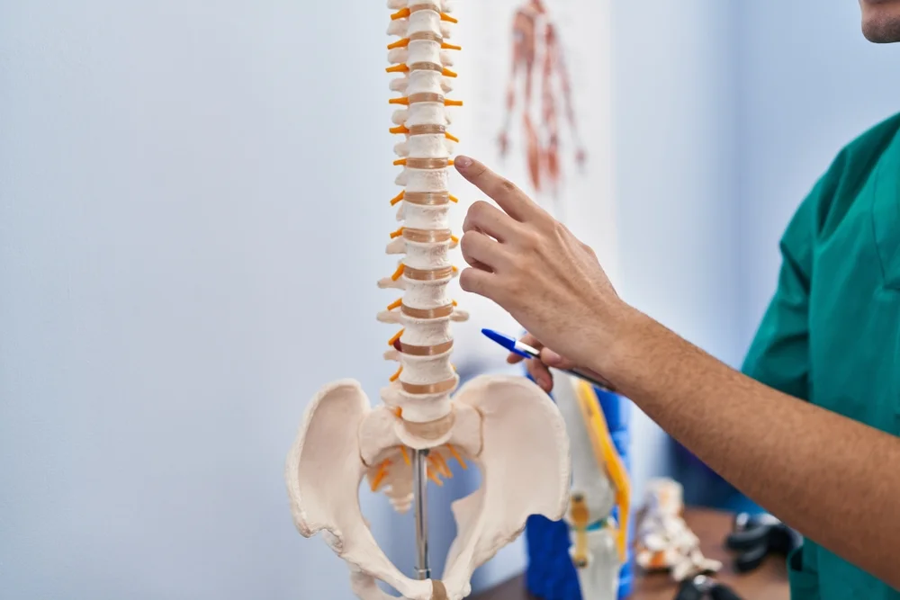 Spinal Rehabilitation